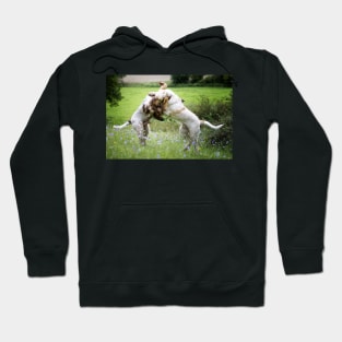 Wildflower play fight Spinoni Hoodie